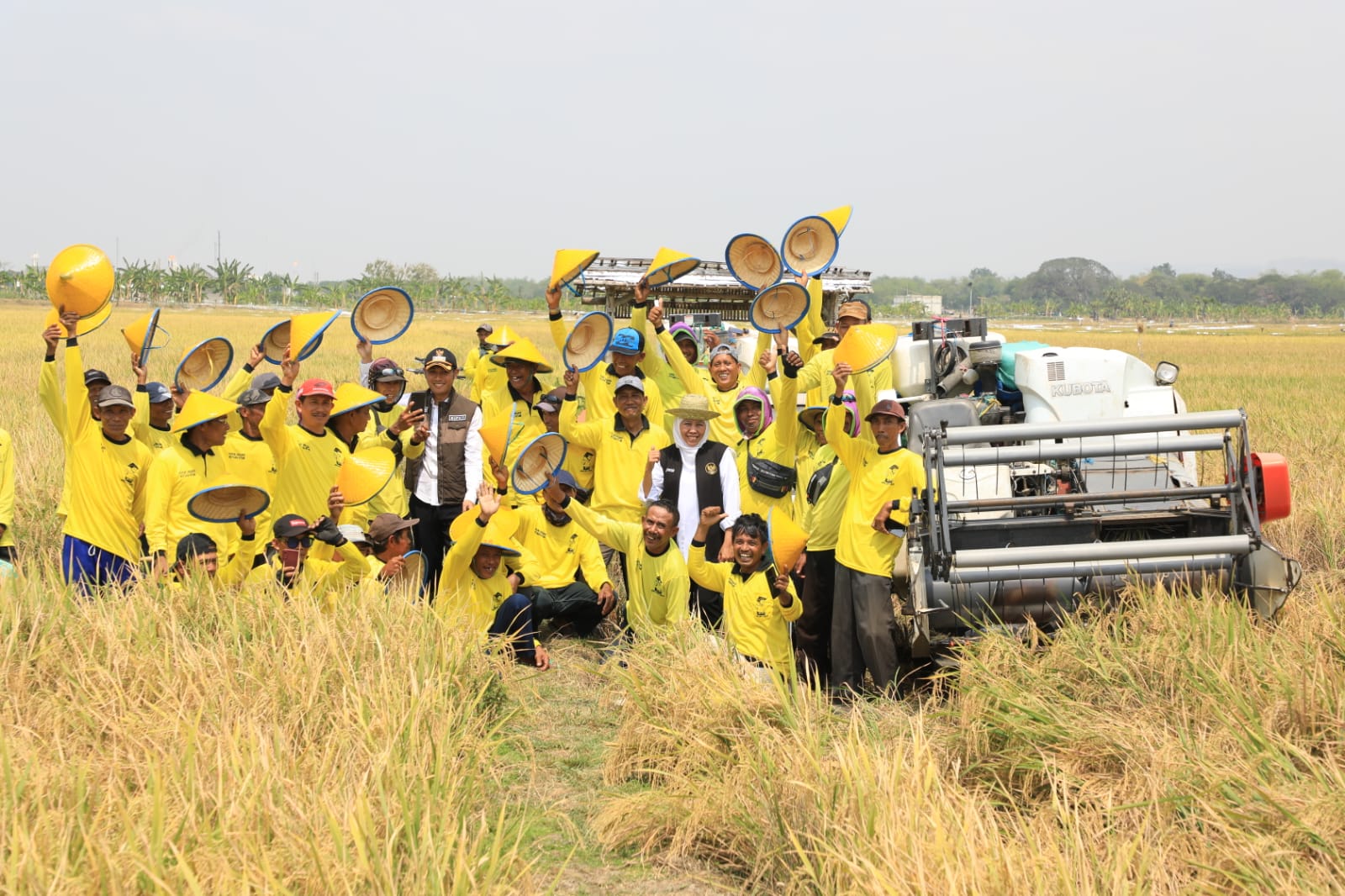 Gubernur Jawa Timur Khofifah Indar Parawansa melaksanakan panen raya padi di lahan pertanian Desa Karangtinoto Kecamatan Rengel, Kabupaten Tuban, Rabu (1/11).