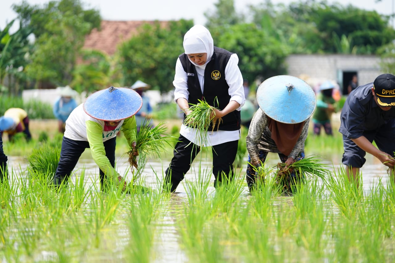 Gubernur Khofifah: Jadi Best Practice dan Referensi Terbaik dari Tuban