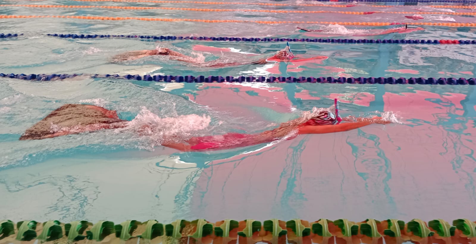 Kejuaraan Nasional (Kejurnas) Finswimming Piala Gubernur Jatim 2023 secara resmi dibuka di Kolam Renang KONI Jatim Jl. Kertajaya Indah Timur Surabaya, Jumat (3/11/2023).

