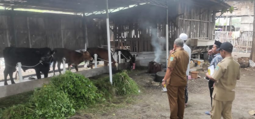 Meski kasus penyakit mulut dan kuku (PMK) kembali muncul sejak akhir 2024, produksi susu dan daging sapi di Kabupaten Pasuruan tetap stabil. 