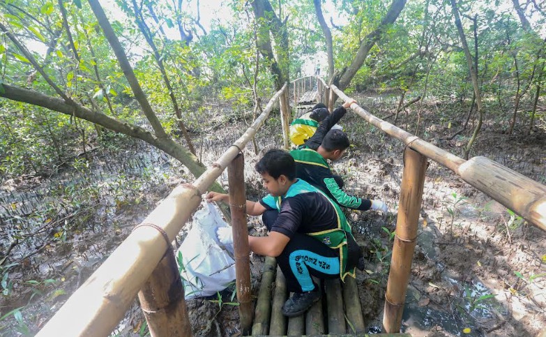 Surabaya Gelar Aksi Bersih Mangrove dalam Peringatan HPSN 2025