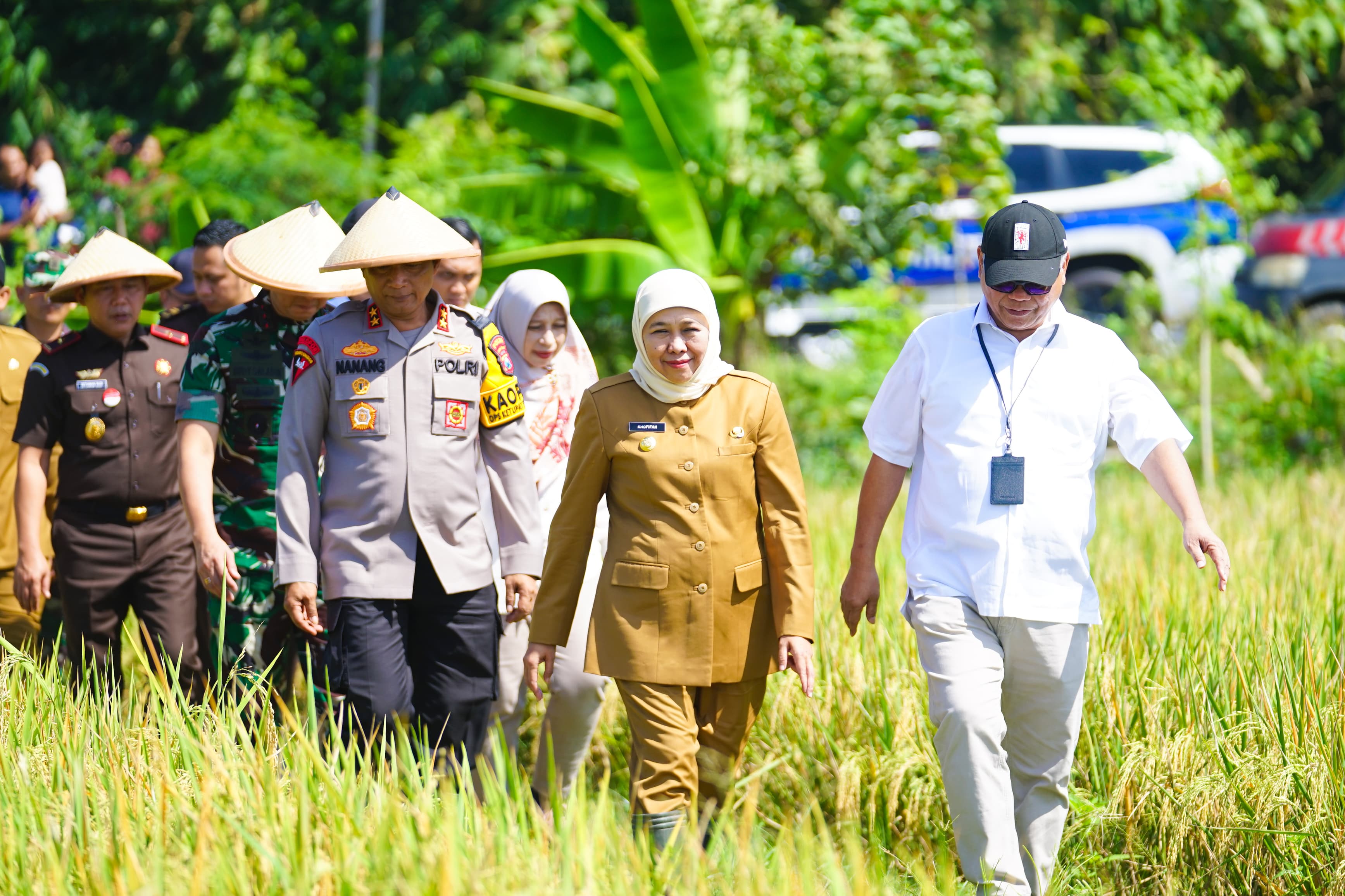 Panen Raya Serentak, Jatim Buktikan Diri sebagai Lumbung Pangan Nasional