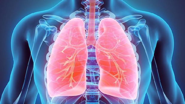 Organ pernapasan bukan hanya paru-paru. Mulut, hidung, hingga tenggorokan juga termasuk ke dalamnya