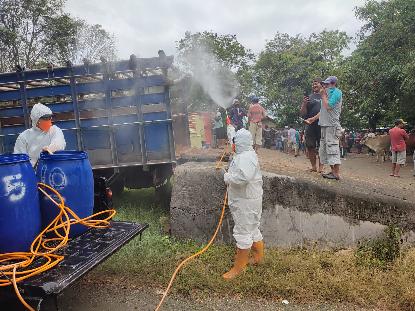 penutupan pasar hewan di beberapa wilayah terdampak terbukti efektif mengurangi interaksi antara ternak sakit dan sehat.