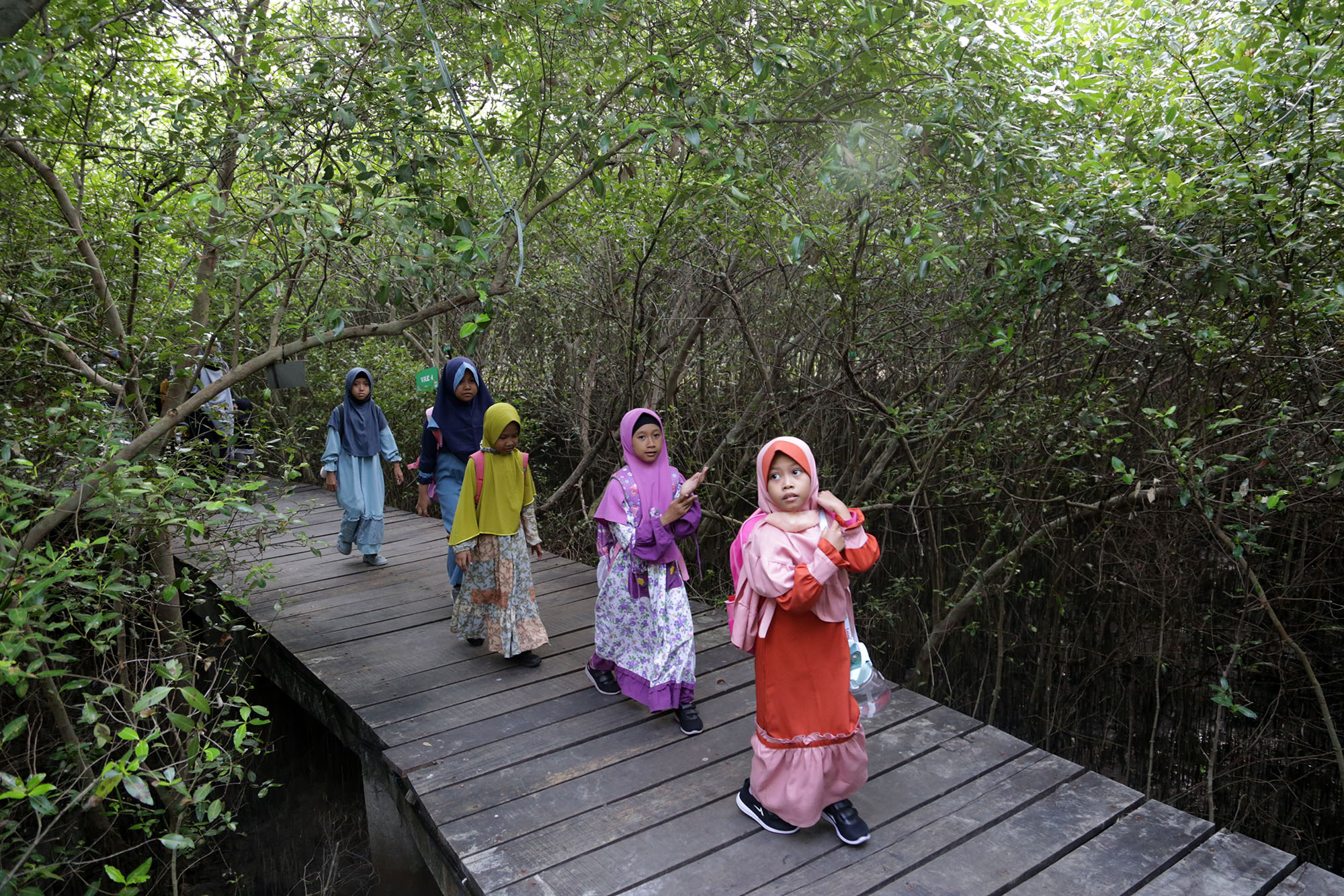 Pemerintah Kota (Pemkot) Surabaya telah mempersiapkan serangkaian acara untuk merayakan Hari Ulang Tahun (HUT) ke-1 Kebun Raya Mangrove (KRM) yang akan berlangsung pada 26-28 Juli 2024