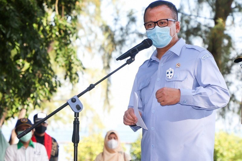 Komisi Pemberantasan Korupsi (KPK) tangkap Menteri Kelautan dan Perikanan Edhy Prabowo. (ANTARA/HO-KKP)