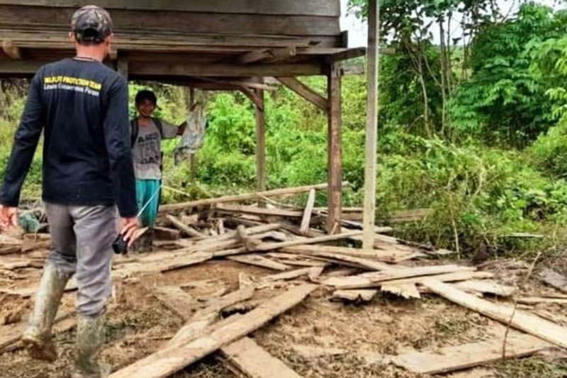 Lahan pertanian yang dirusak gajah liar. ant
