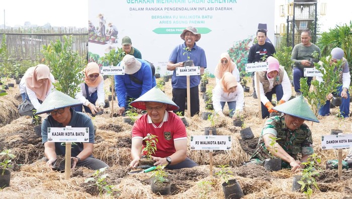 Penjabat (Pj). Wali Kota Batu, Aries Agung Paewai bersama Forkopimda Kota Batu dan jajaran OPD Pemerintah Kota Batu melaksanakan gerakan tanam cabai  di Pondok Labu, Kecamatan Batu, pada Jumat (31/5/2024).