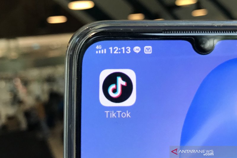 Ilustrasi aplikasi TikTok (ANTARA/Arindra Meodia)