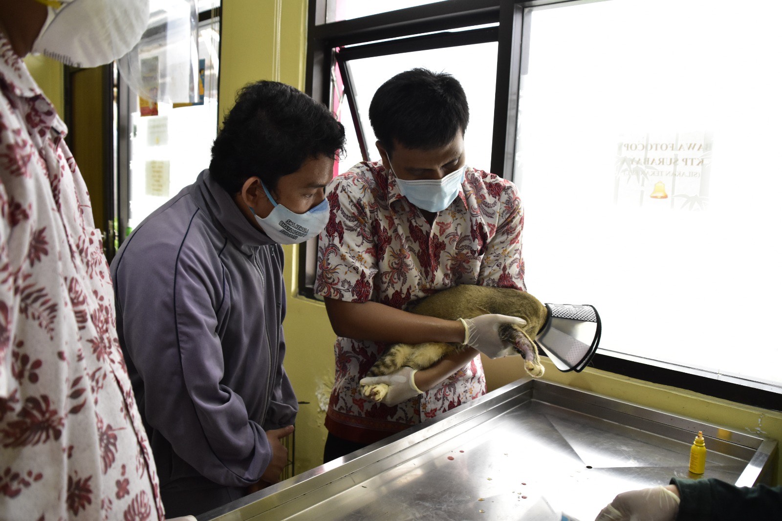 Dinas Ketahanan Pangan dan Pertanian (DKPP) Kota Surabaya menyediakan layanan kesehatan hewan peliharaan berupa UPTD Klinik Hewan, di Jalan Ikan Dorang No. 15, Perak Barat, Kota Surabaya