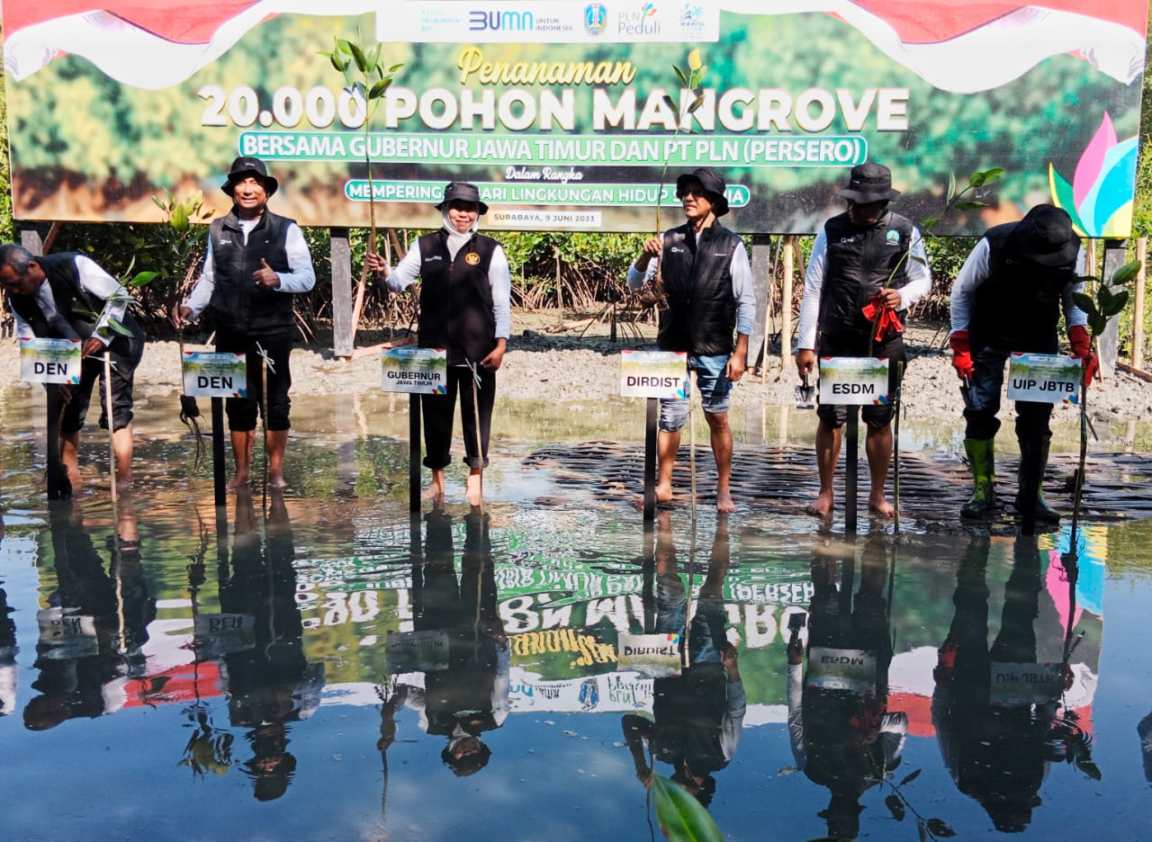 Gubernur Khofifah: Upaya Nyata Jaga Lingkungan untuk Lestarikan Alam