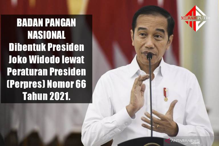 Pembentukan Badan Pangan Nasional ini ternyata merupakan amanat UU Pangan yang kelak dipimpin seorang kepala badan dan akan bertanggung jawab langsung kepada presiden. ist