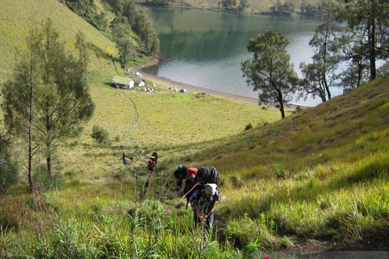 dok/: Sejumlah pendaki berada di jalur pendakian Gunung Semeru (ANTARA/ Zumrotun Solichah)