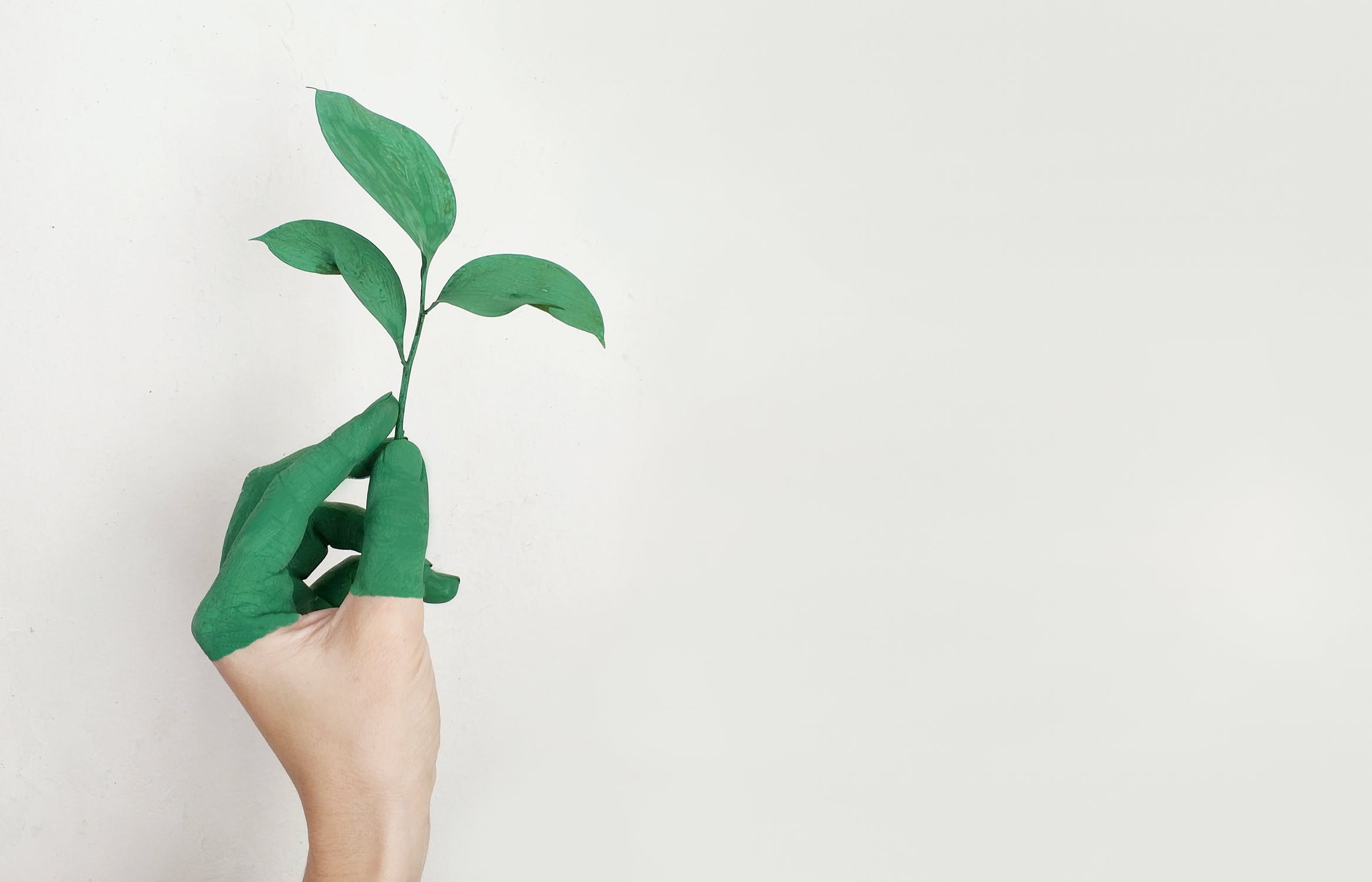 ilustrasi. Foto : pexels.com