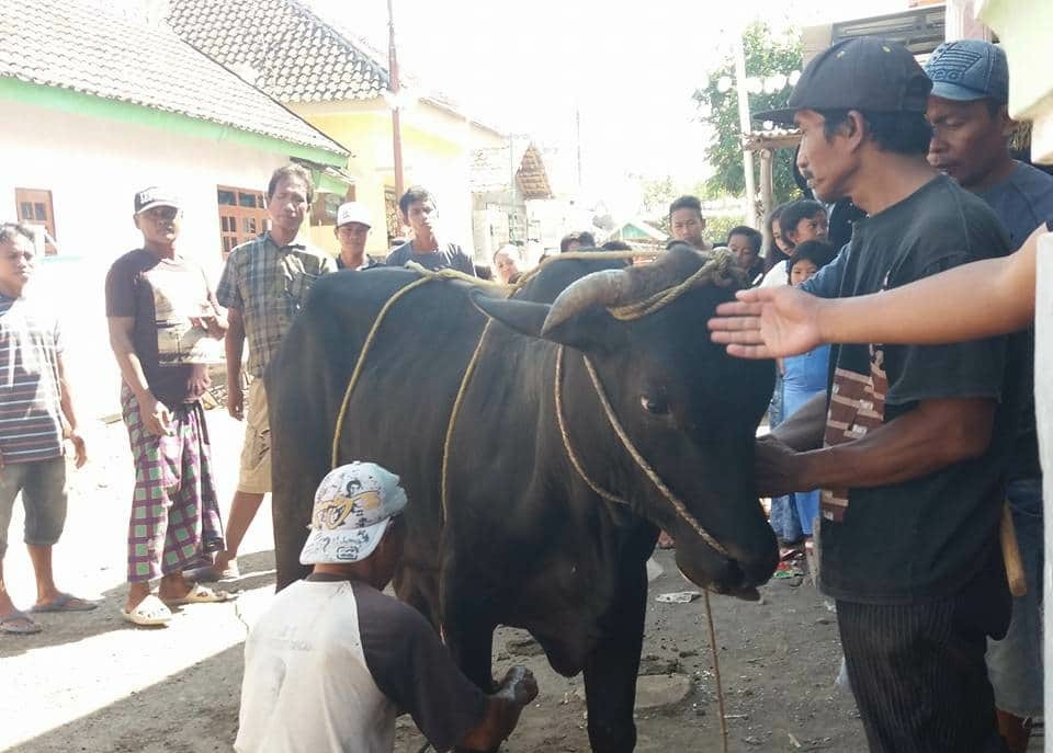 Polresta Sidoarjo Imbau Pembagian Daging Kurban Door to Door