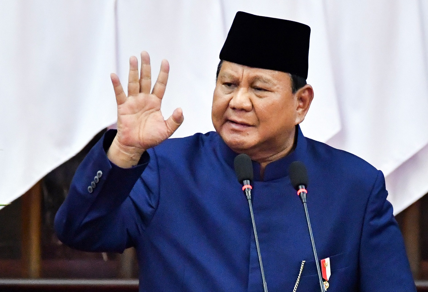 Presiden Prabowo Subianto 