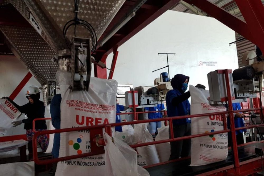 AMAN: PT Pupuk Indonesia (Persero) menjamin penyaluran pupuk baik pupuk bersubsidi maupun nonsubsidi kepada petani tidak terganggu oleh penerapan aturan Pembatasan Sosial Berskala Besar (PSBB) oleh Pemerintah Daerah. (Pupuk Indonesia). ANTARA