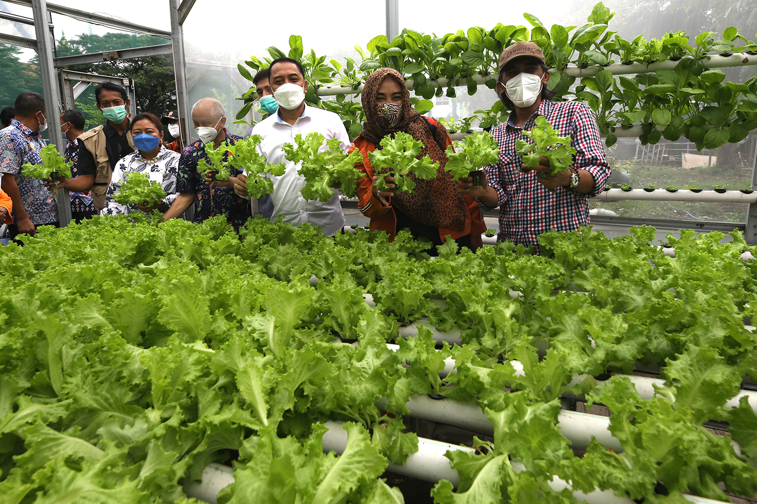 Wali Kota Surabaya Eri Cahyadi mensuport penuh urban farming dengan teknik hidroponik di Kota Pahlawan. Salah satunya, seperti yang ada di wilayah RW 04 Kelurahan Jemur Wonosari, Kecamatan Wonocolo. 