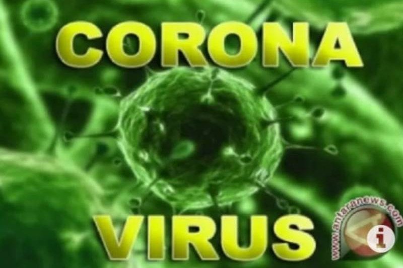 Ilustrasi virus Corona. dok